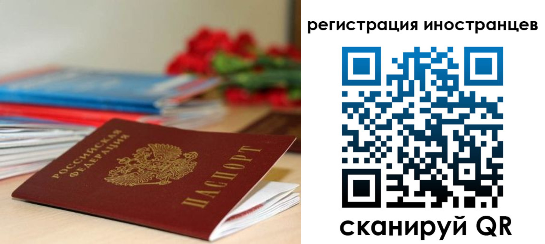 форма 3 в Нелидово